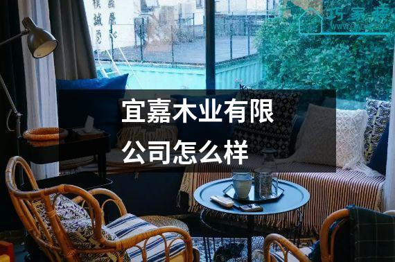 宜嘉木业有限公司怎么样