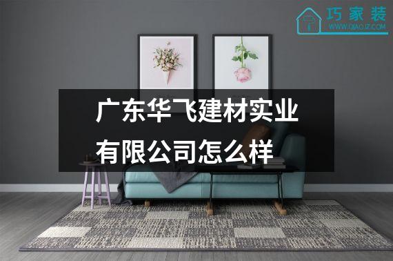 广东华飞建材实业有限公司怎么样