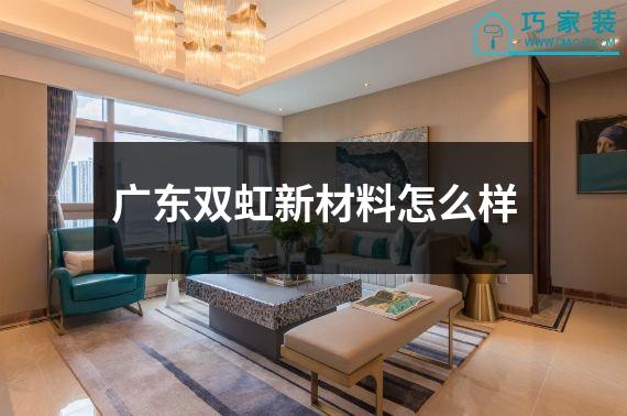 广东双虹新材料怎么样