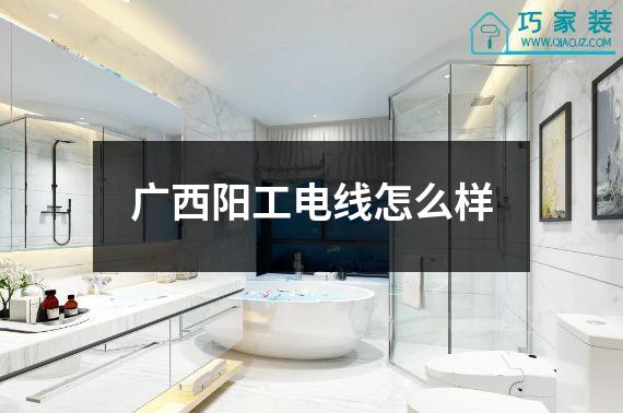 广西阳工电线怎么样