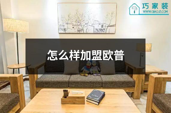 怎么样加盟欧普