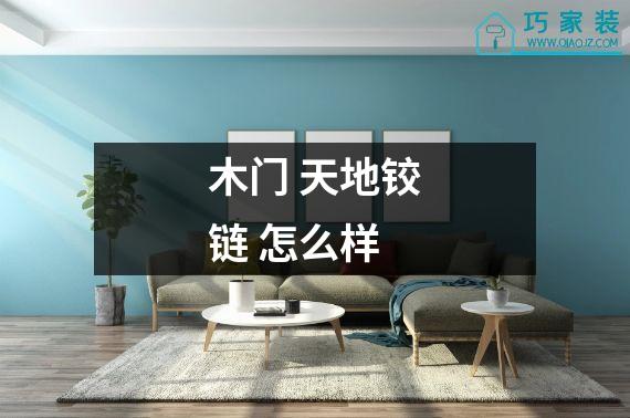 木门 天地铰链 怎么样