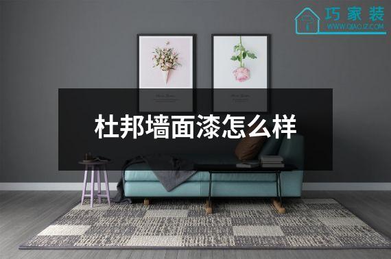 杜邦墙面漆怎么样