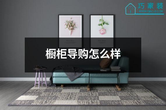 橱柜导购怎么样