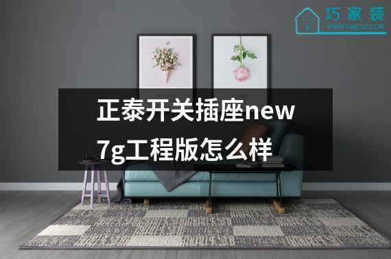 正泰开关插座new7g工程版怎么样