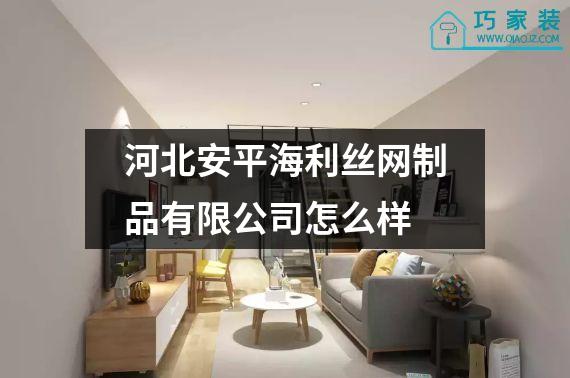 河北安平海利丝网制品有限公司怎么样