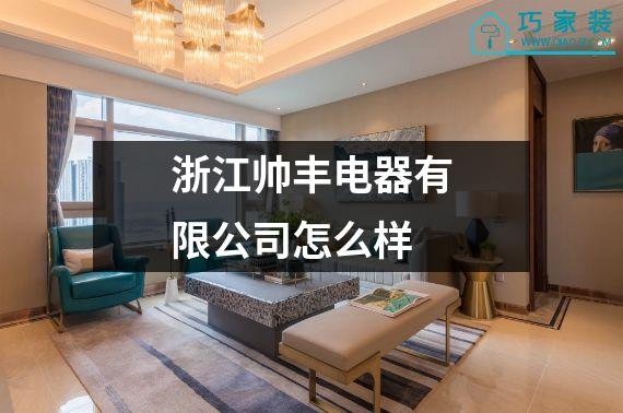 浙江帅丰电器有限公司怎么样