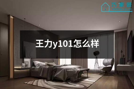 王力y101怎么样