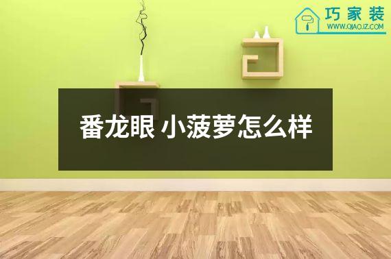 番龙眼 小菠萝怎么样