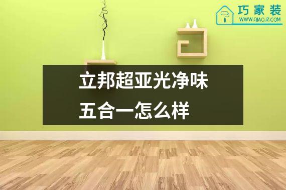 立邦超亚光净味五合一怎么样