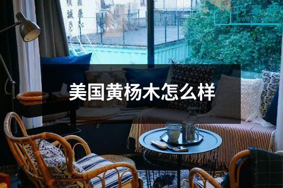 美国黄杨木怎么样