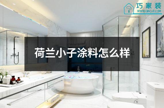 荷兰小子涂料怎么样