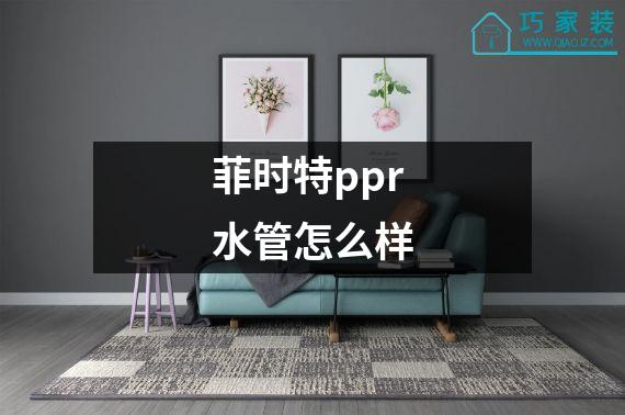 菲时特ppr水管怎么样