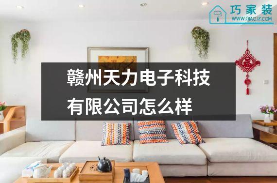 赣州天力电子科技有限公司怎么样