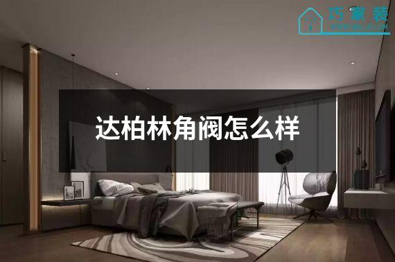 达柏林角阀怎么样