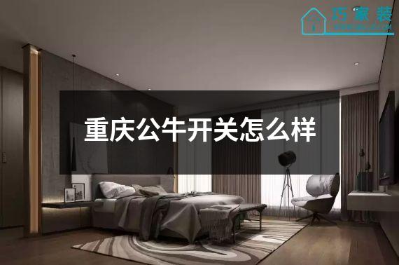 重庆公牛开关怎么样