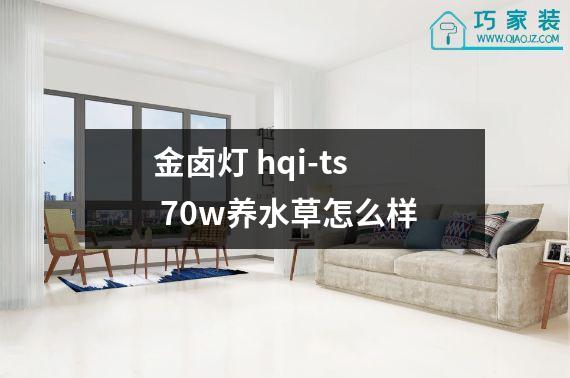 金卤灯 hqi-ts 70w养水草怎么样