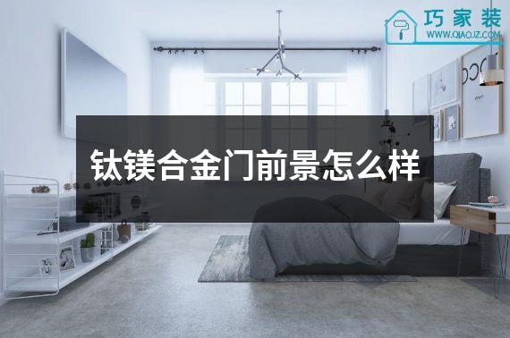 钛镁合金门前景怎么样