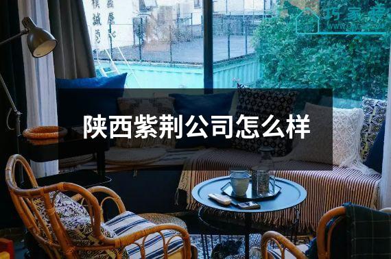 陕西紫荆公司怎么样