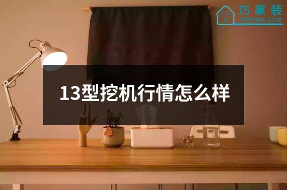 13型挖机行情怎么样