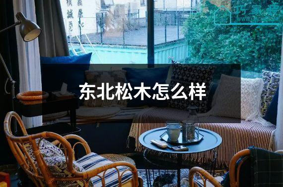 东北松木怎么样