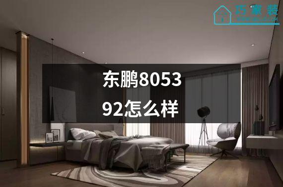 东鹏805392怎么样