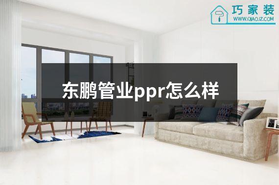 东鹏管业ppr怎么样