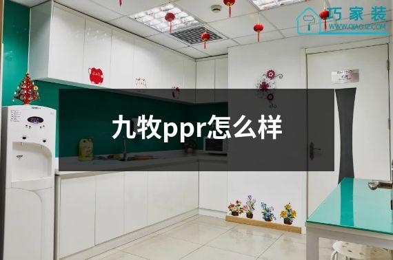 九牧ppr怎么样