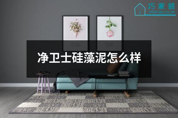净卫士硅藻泥怎么样