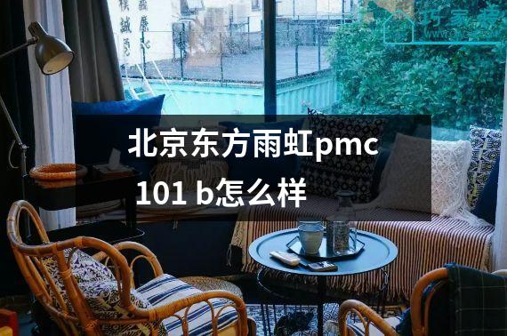 北京东方雨虹pmc 101 b怎么样