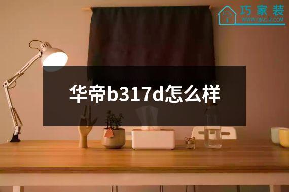 华帝b317d怎么样