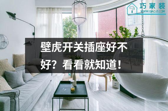 壁虎开关插座好不好？看看就知道！