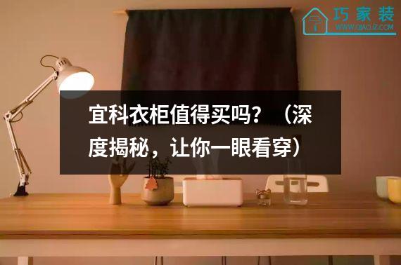 宜科衣柜值得买吗？（深度揭秘，让你一眼看穿）