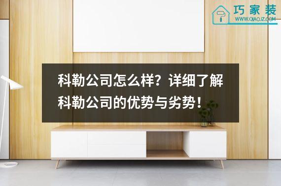 科勒公司怎么样？详细了解科勒公司的优势与劣势！
