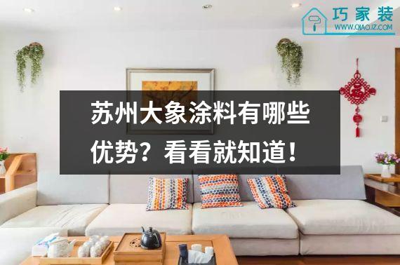 苏州大象涂料有哪些优势？看看就知道！