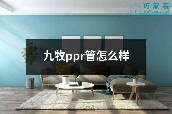 九牧ppr管怎么样