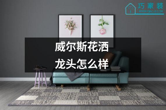 威尔斯花洒 龙头怎么样