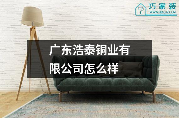 广东浩泰铜业有限公司怎么样