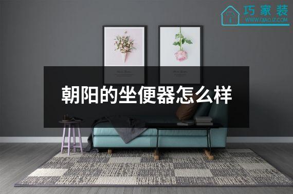 朝阳的坐便器怎么样