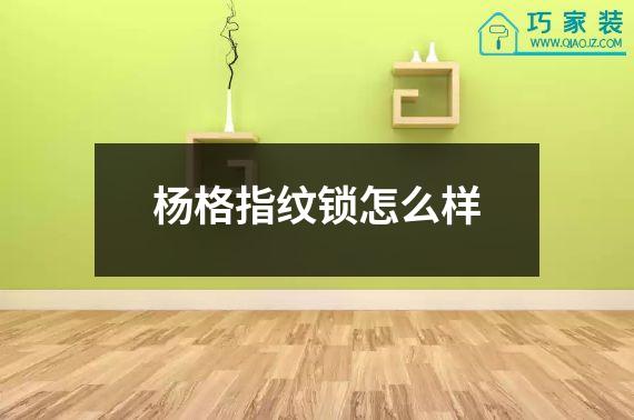 杨格指纹锁怎么样