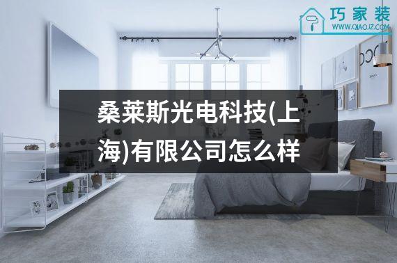 桑莱斯光电科技(上海)有限公司怎么样