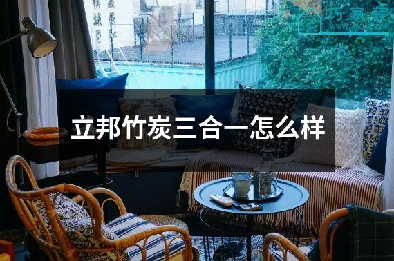 立邦竹炭三合一怎么样