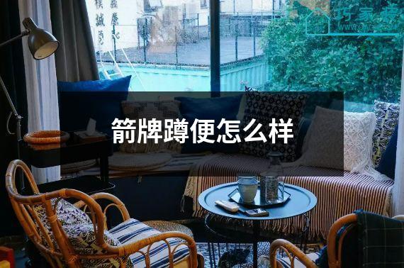 箭牌蹲便怎么样