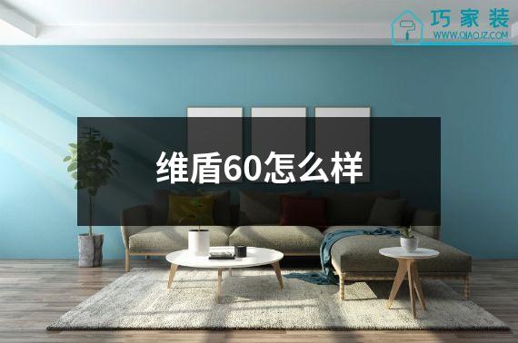 维盾60怎么样