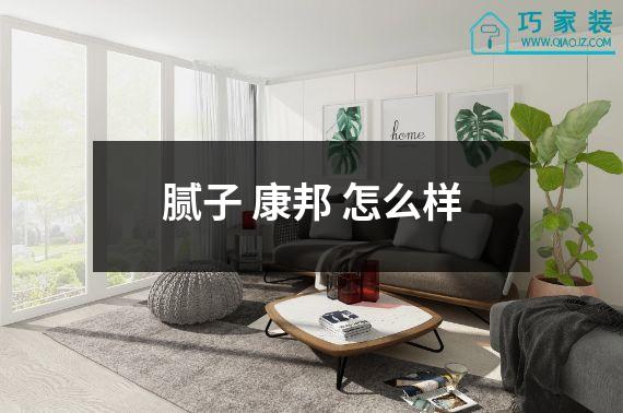 腻子 康邦 怎么样