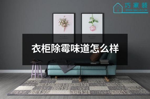 衣柜除霉味道怎么样