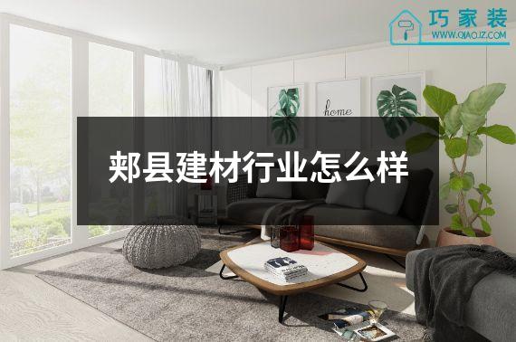 郏县建材行业怎么样