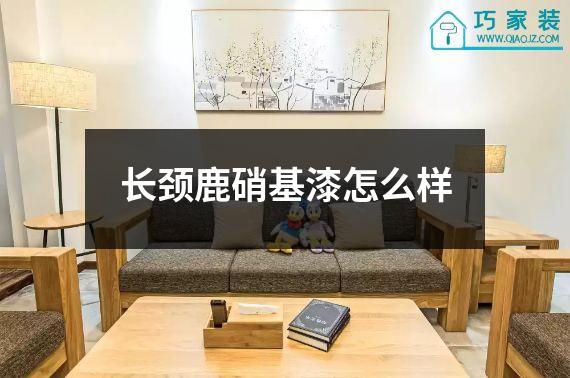 长颈鹿硝基漆怎么样