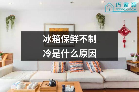 冰箱保鲜不制冷是什么原因