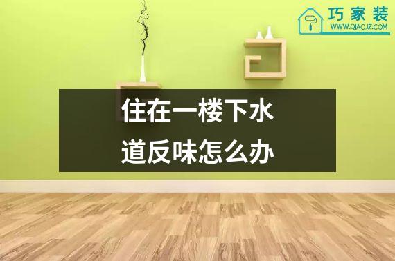 住在一楼下水道反味怎么办